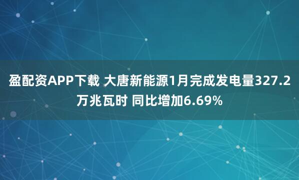 盈配资APP下载 大唐新能源1月完成发电量327.2万兆瓦时 同比增加6.69%