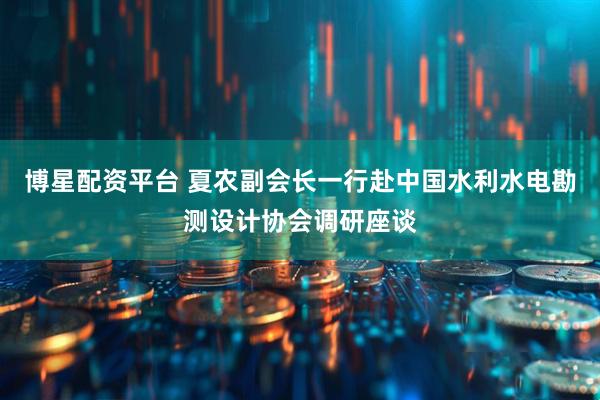 博星配资平台 夏农副会长一行赴中国水利水电勘测设计协会调研座谈